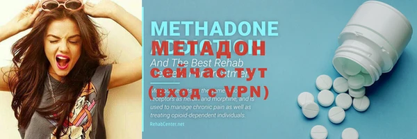 стаф Алексин
