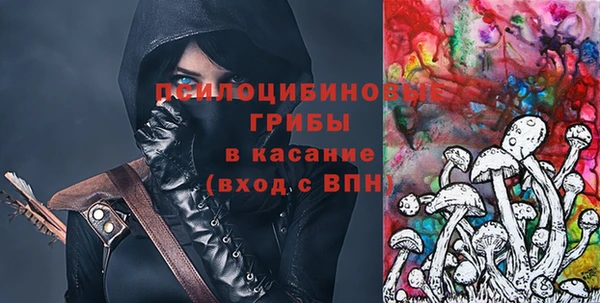 стаф Алексин