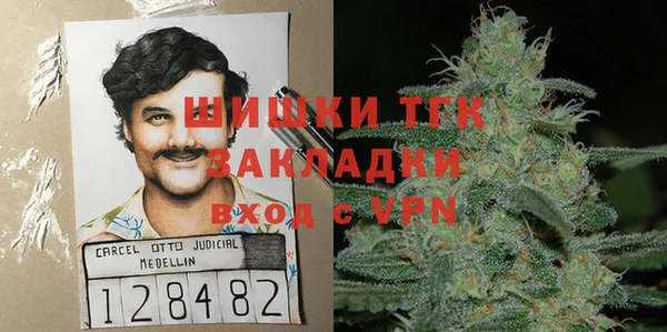 прущие грибы Абаза
