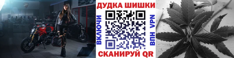 Канабис семена  мега как войти  Сургут 